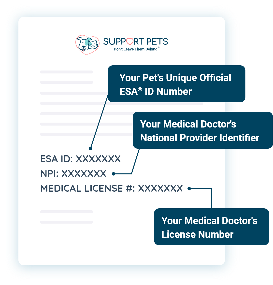 Support Pets Emotional Support Animal Official ESA®